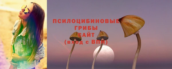 крисы Новокубанск