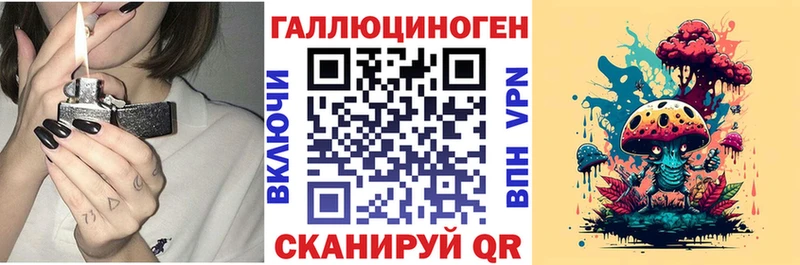 наркота  Галич  Галлюциногенные грибы Psilocybine cubensis 